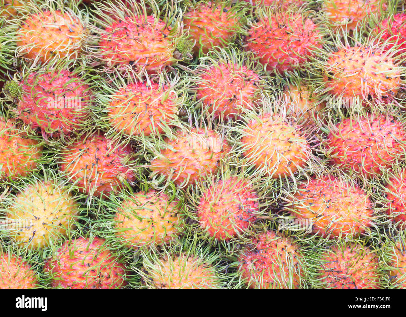 Rambutans from Malaysia Stock Photo