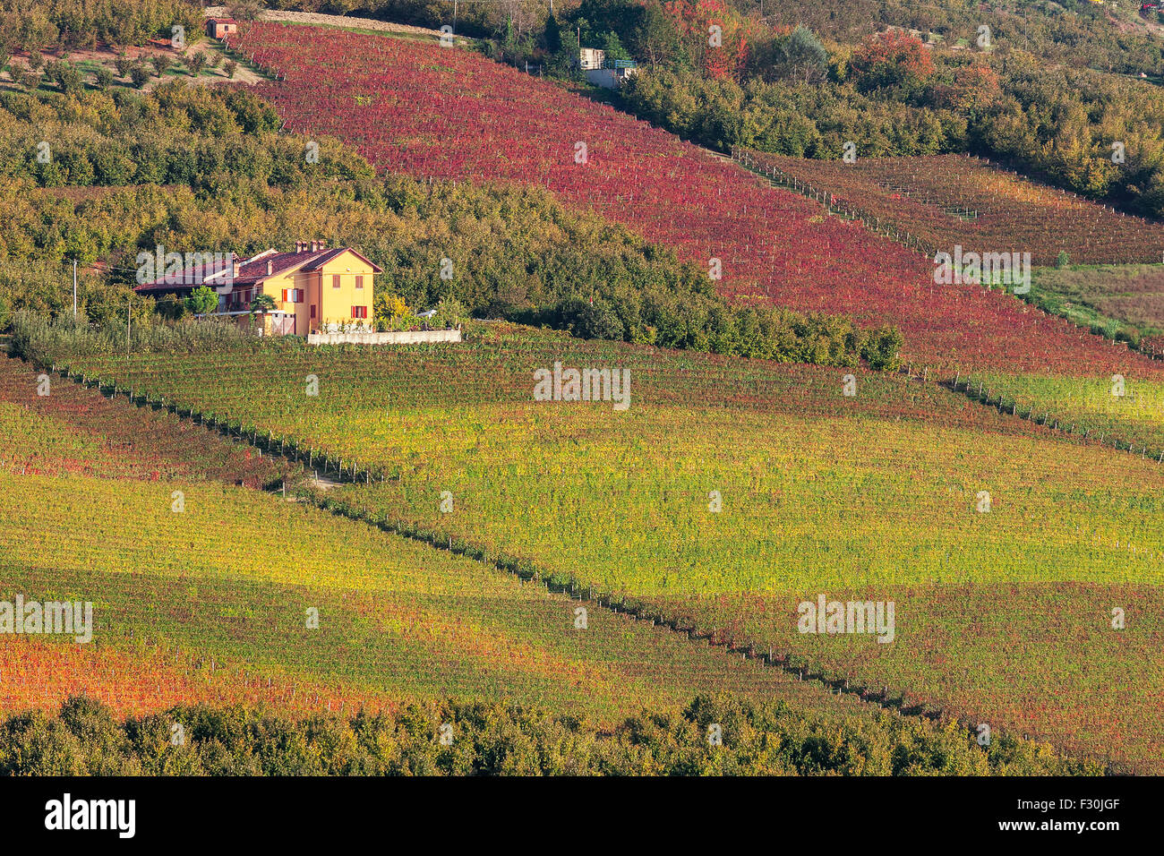 Rural house among autumnal vineyards in Piedmont, Northern Italy. Stock Photo