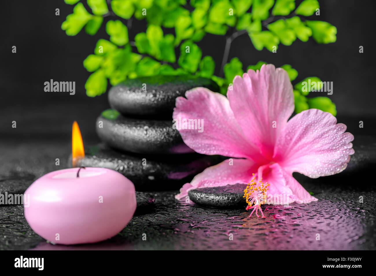 beautiful spa concept of pink hibiscus flower, fern branch, candle and stones pyramid with drops, closeup Stock Photo