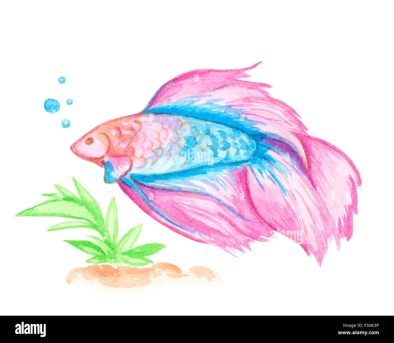 Hand drawn decorative watercolor pink aquarium fish Stock Photo