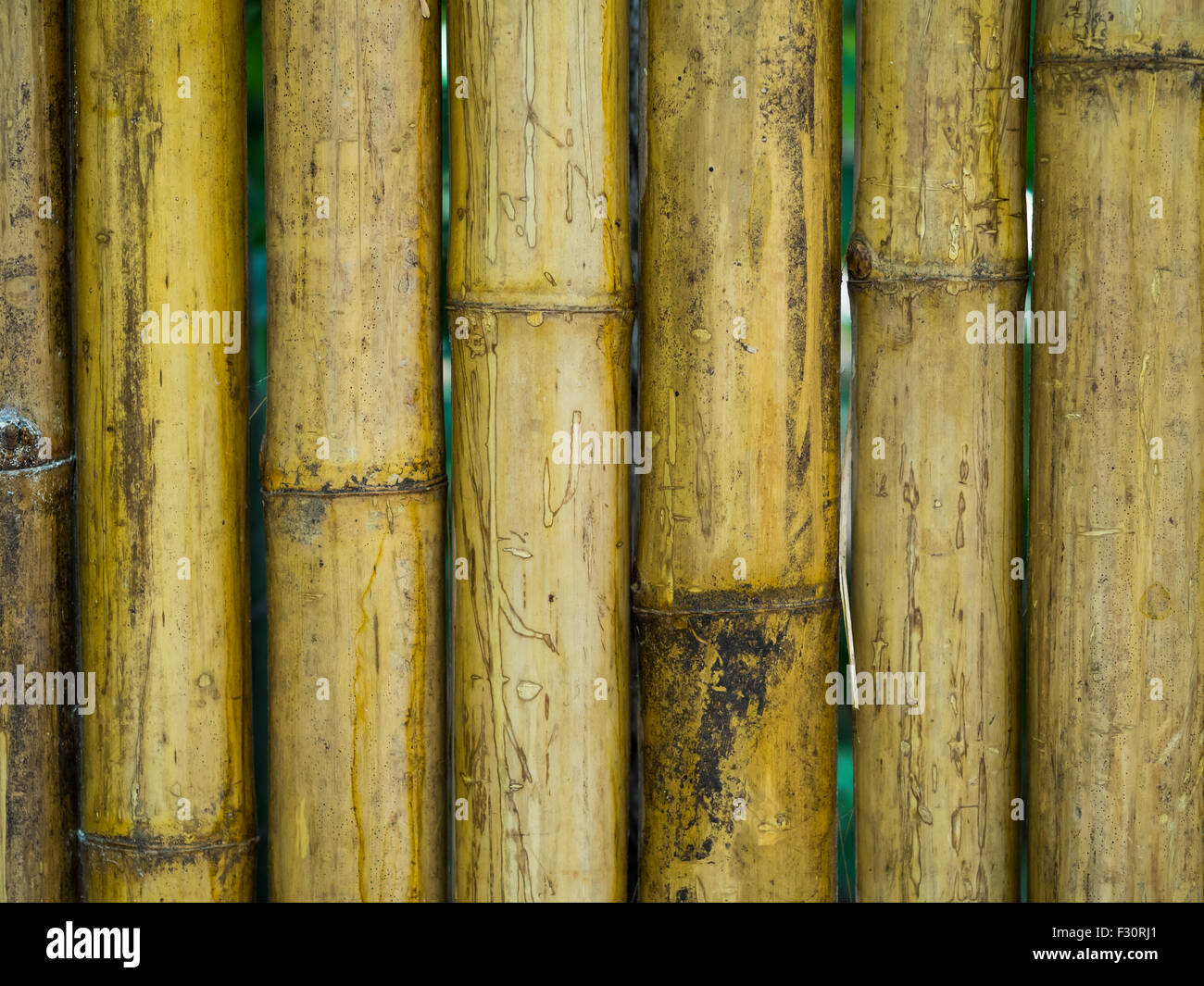 Bamboo fence with natural patterns, Background, Texture Stock Photo