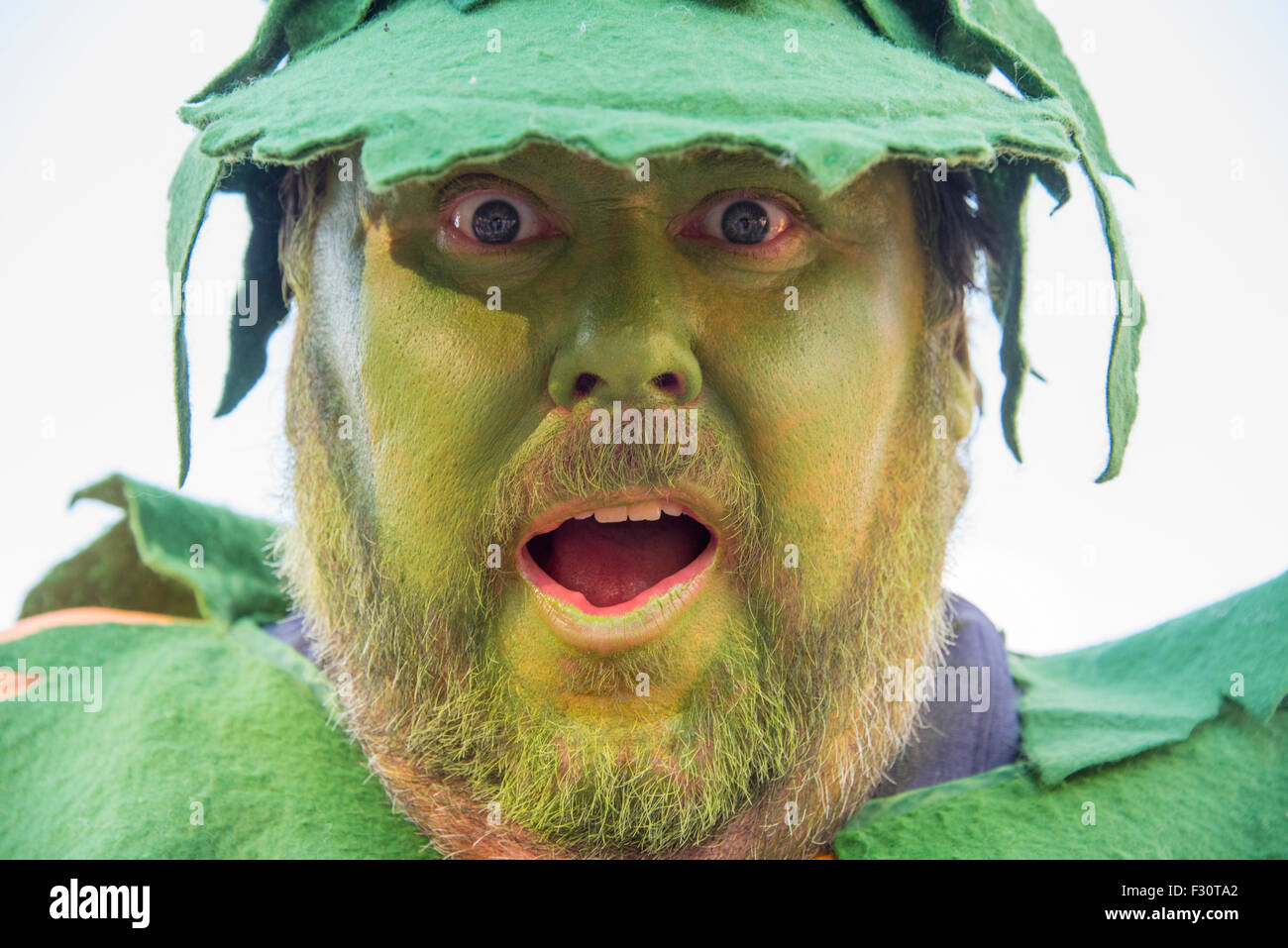 Soham, Cambridgeshire, UK. 26th Sep, 2015. Man dressed as giant pumpkin at Soham pumpkin fair 2015 Credit:  Jason - Stock Image