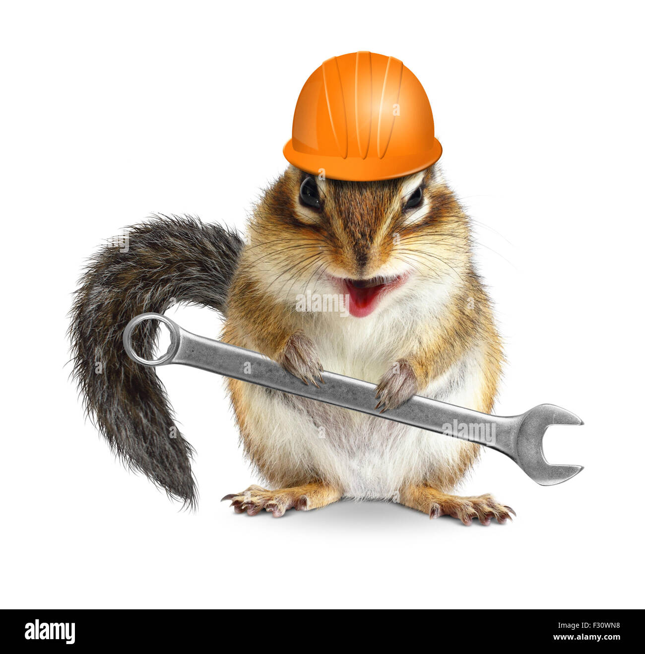 Funny handyman chipmunk worker with helmet and wrench isolated on white background Stock Photo