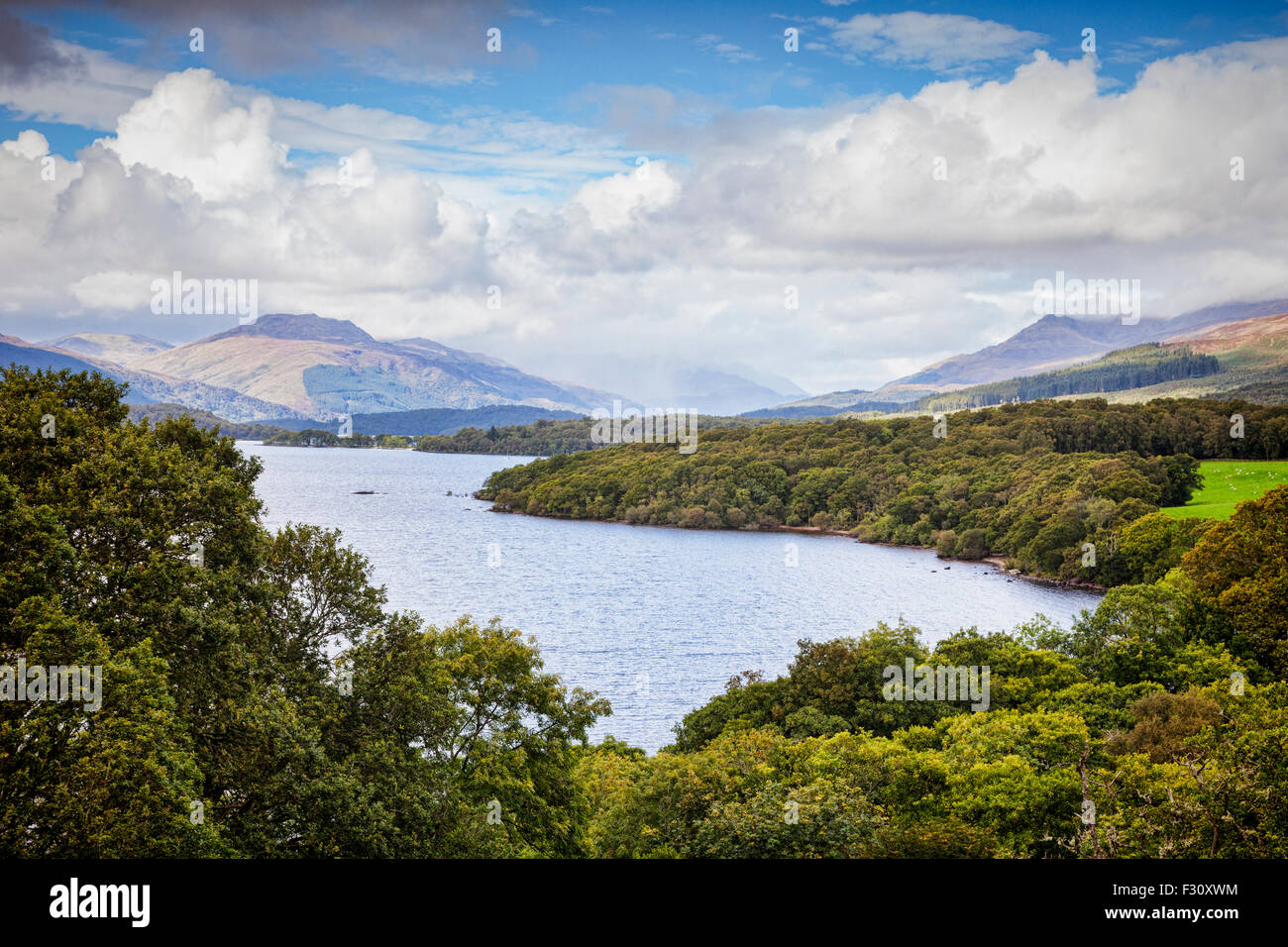 Loch Lomond and the Trossachs National Park from Craigiefort, Stirlingshire, Scotland, UK. Stock Photo