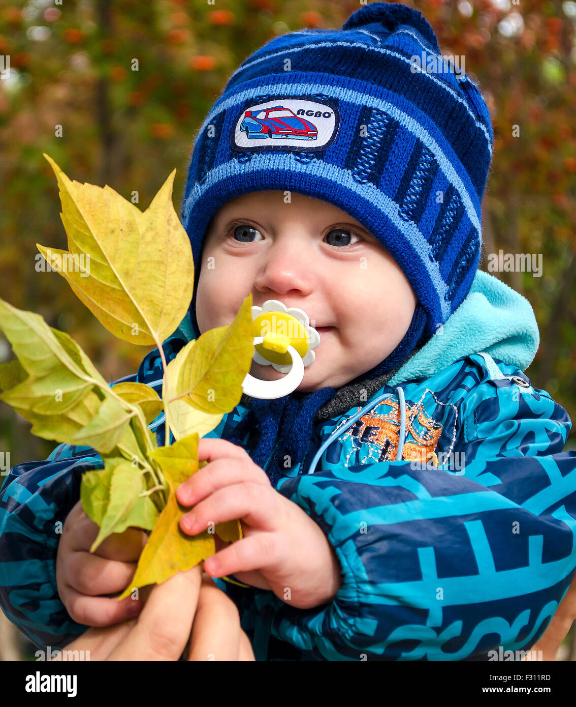 Child holding leaves hi-res stock photography and images - Alamy