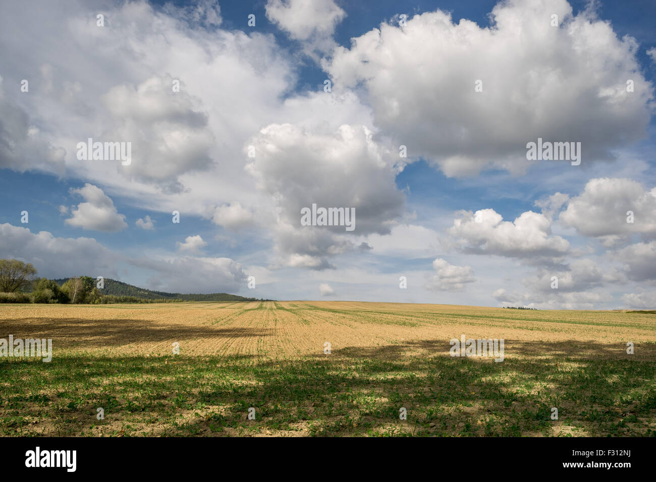 White cumulus clouds in the blue sky over autumn fields Lower Silesia Poland Stock Photo