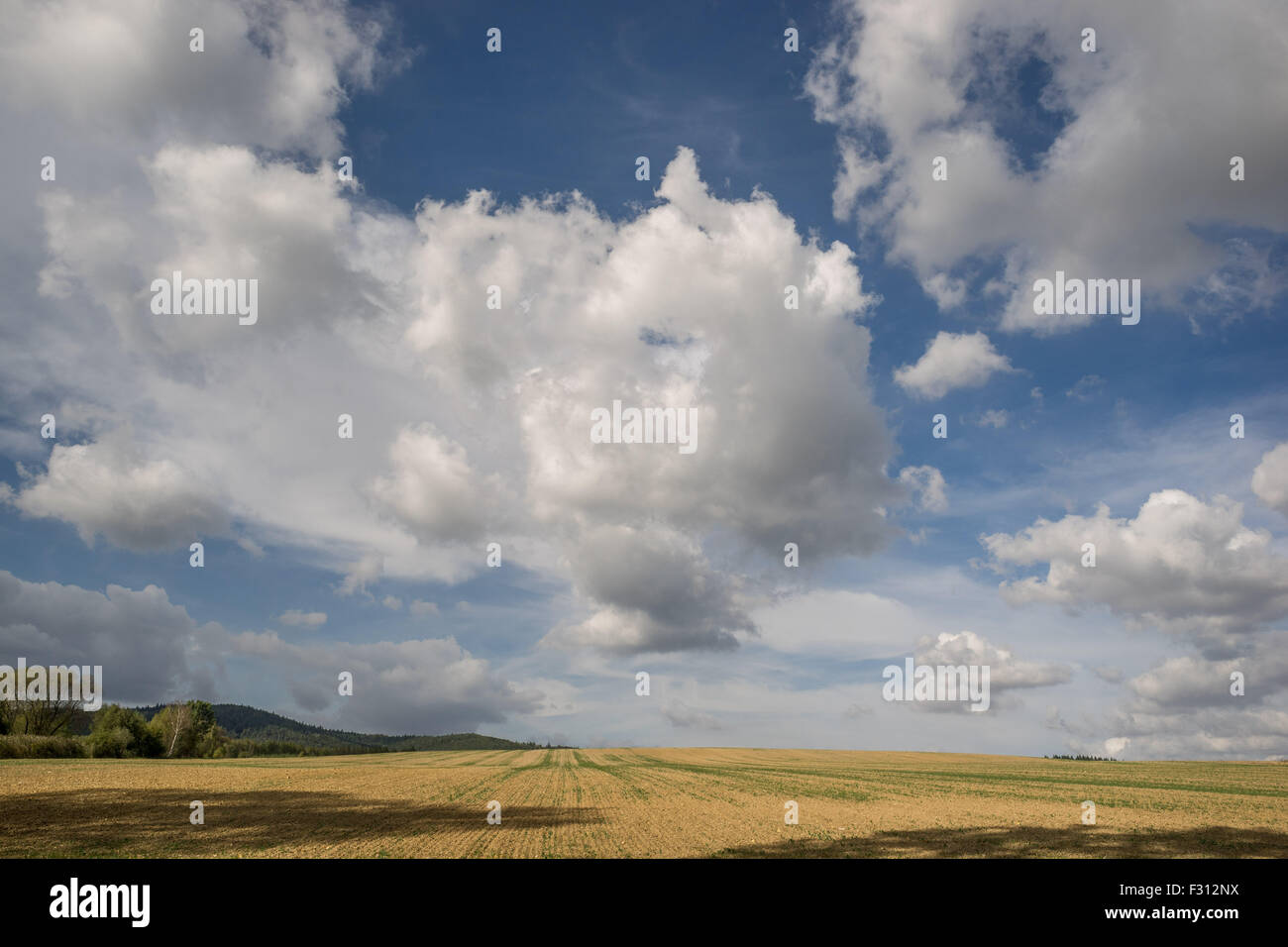 White cumulus clouds in the blue sky over autumn fields Lower Silesia Poland Stock Photo