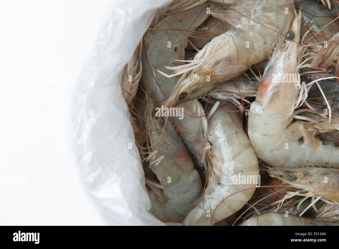 Download Shrimp In Plastic Bag Stock Photo Alamy Yellowimages Mockups