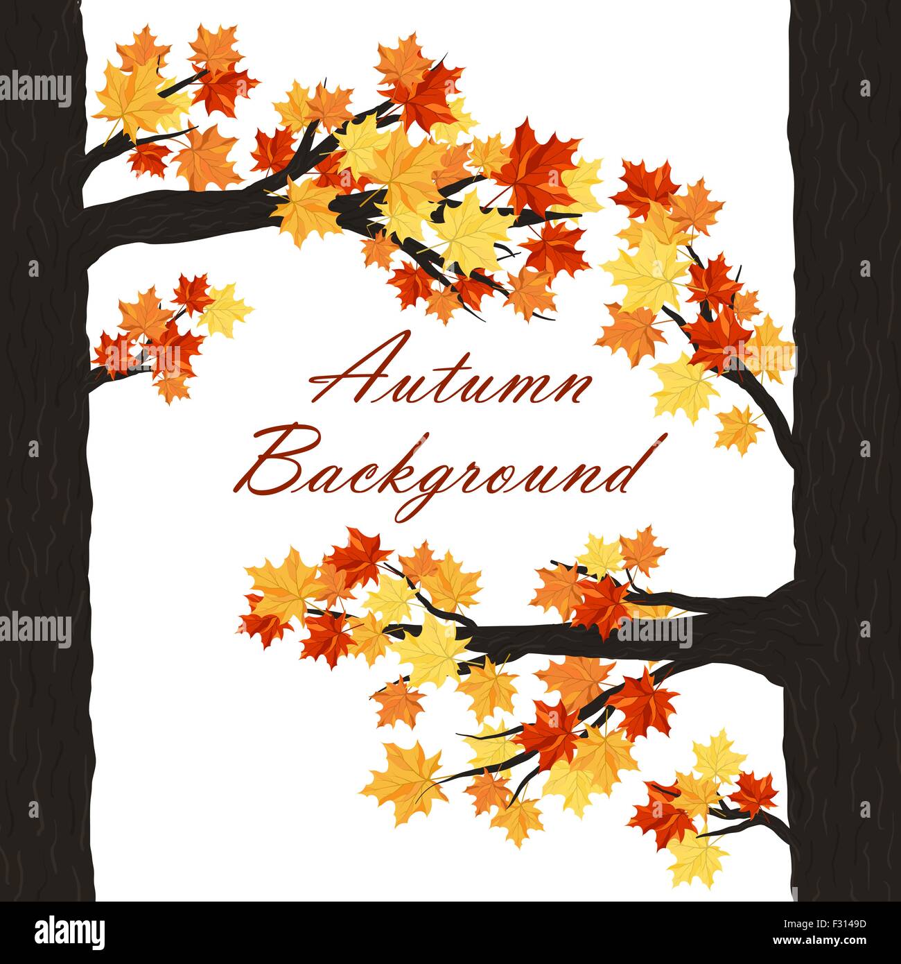 Autumn Frame With Maple Leaves on Branches of Tree Over White ...