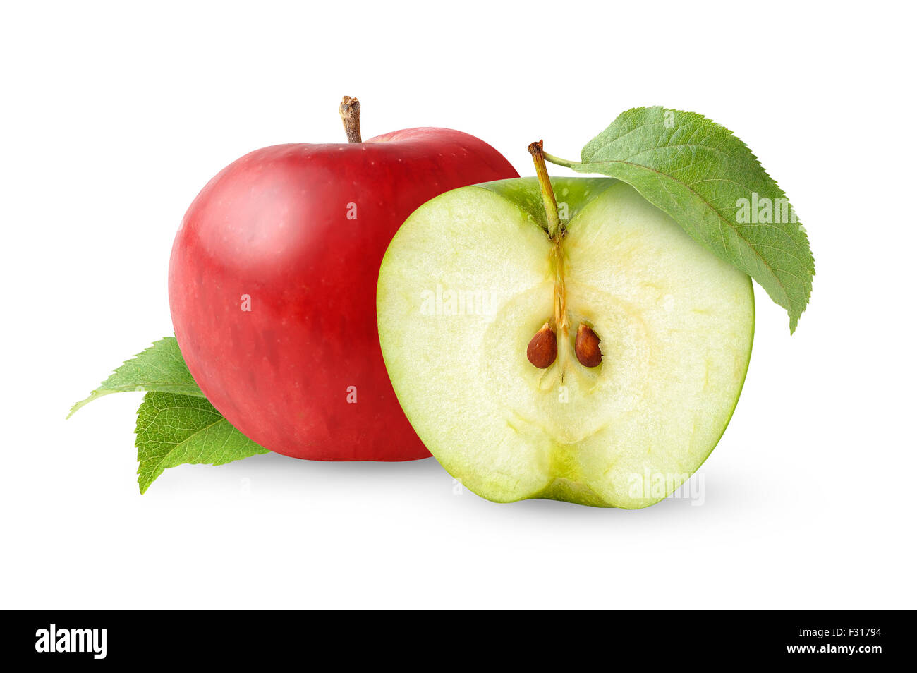 The apple am little. Яблоко в разрезе. Разрезанное яблоко. Срез яблока. Две половинки яблока.