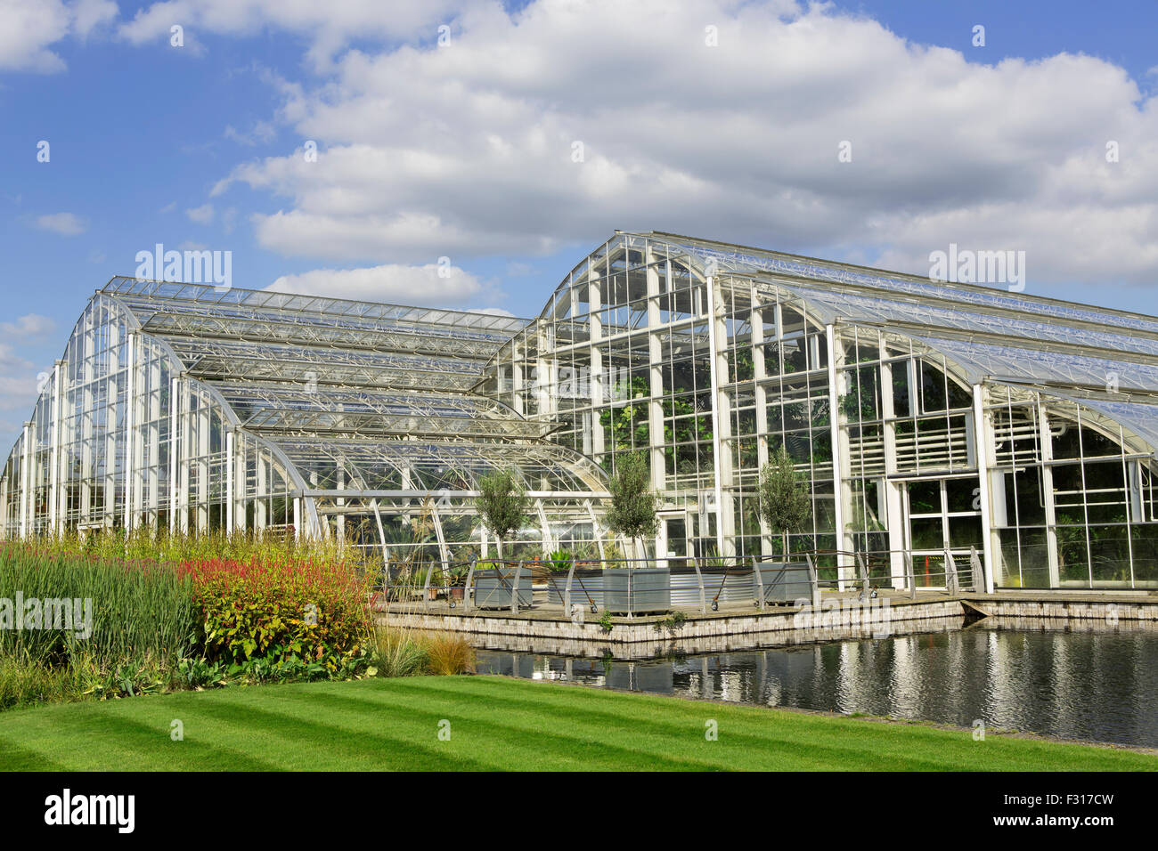 Large Commercial size glass houses. Shot taken across blooming borders Stock Photo