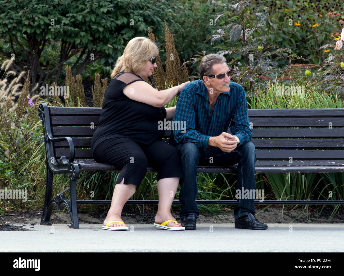 Senior couple man woman sitting on a bench she is scratching his back. Stock Photo