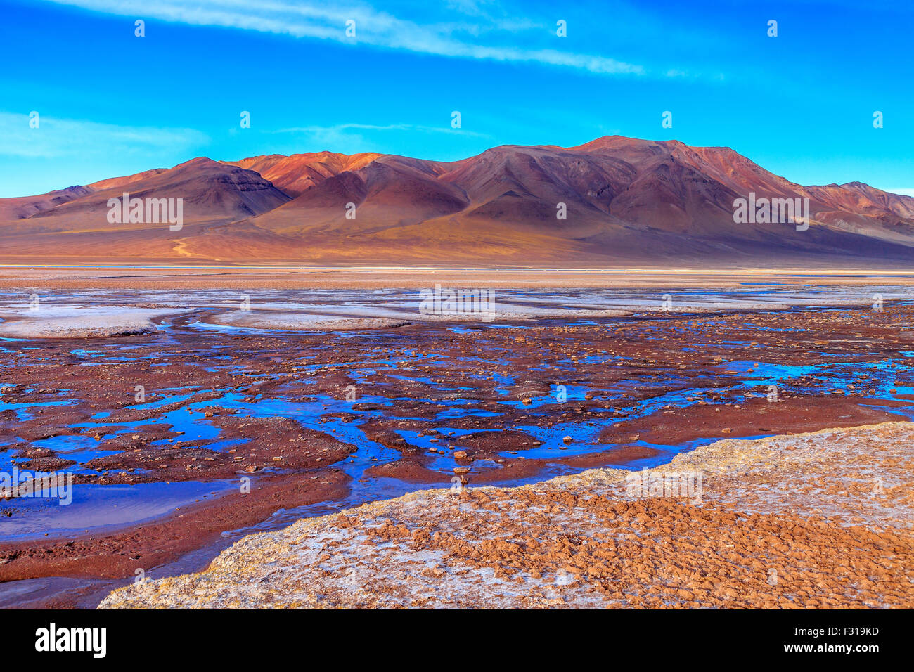 Salar de Tara with colored hills in the background (Los Flamencos national reserve, Atacama, Chile) Stock Photo