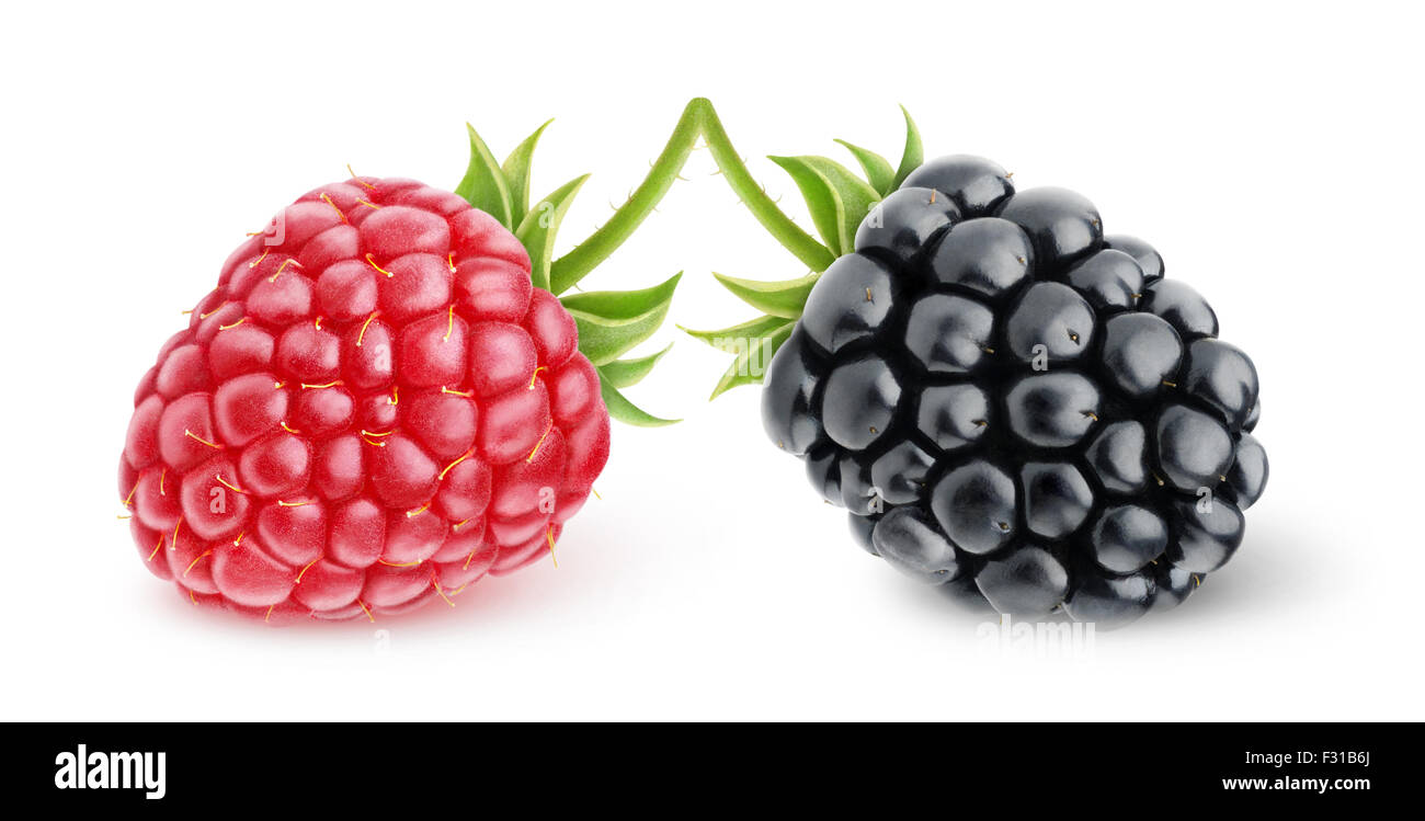 Raspberry and blackberry isolated on white Stock Photo Alamy