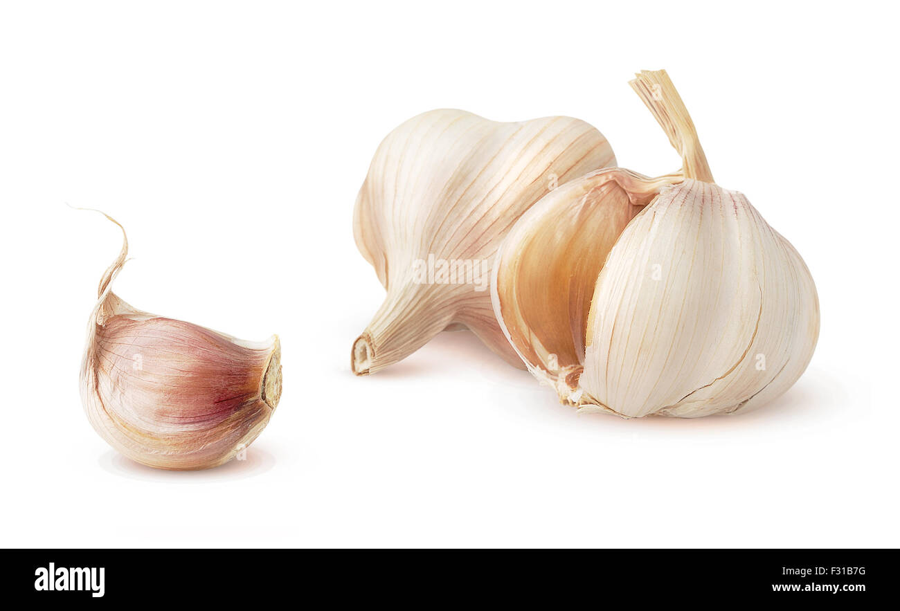 Garlic isolated on white Stock Photo