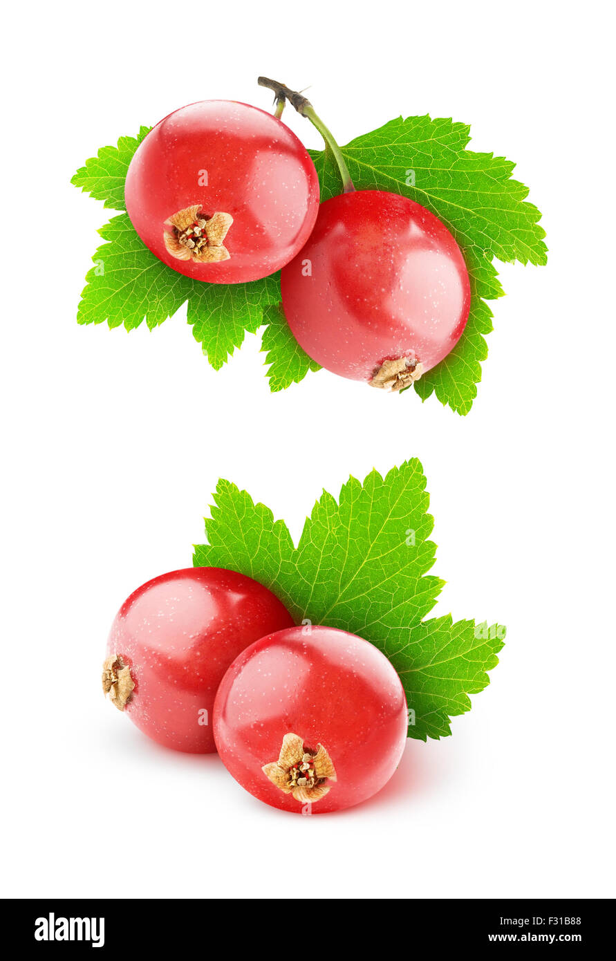Red currants isolated on white Stock Photo