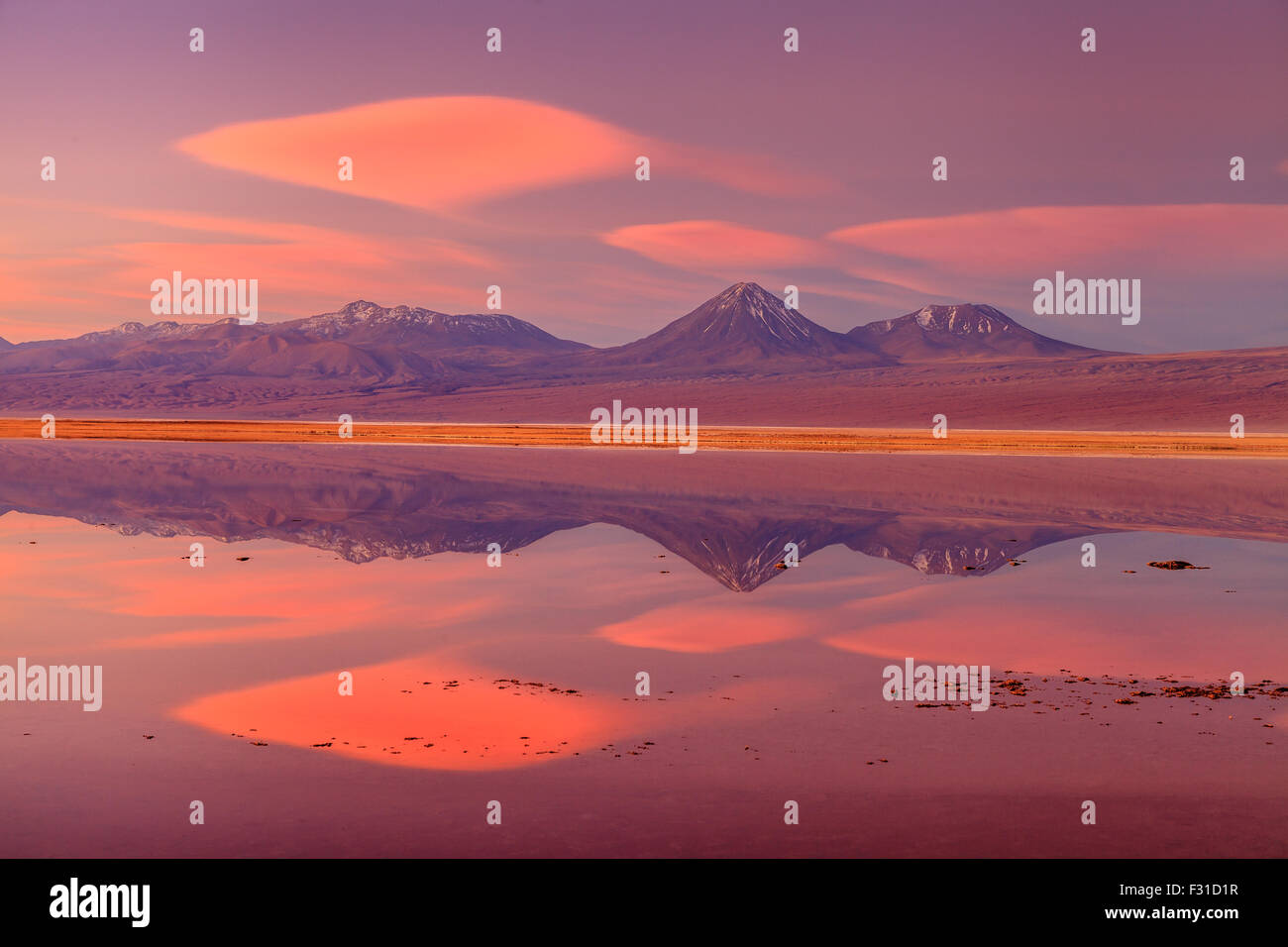 Volcan Licancabur reflected in Laguna Tebinquinche at sunset Stock Photo