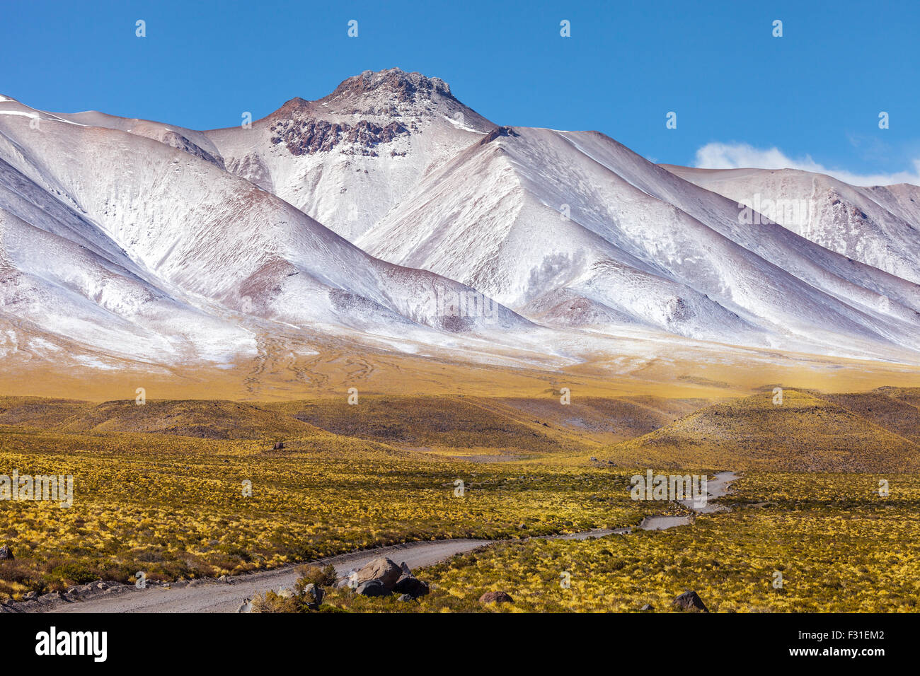 Panoramic view of the Lascar volcano complex Stock Photo