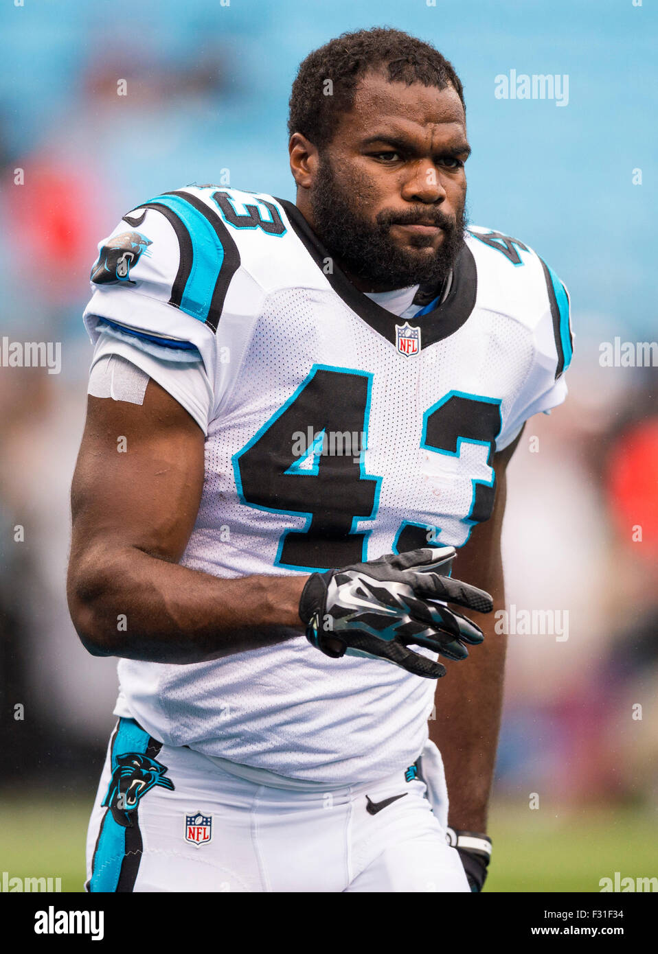 Carolina Panthers – F&F Sports