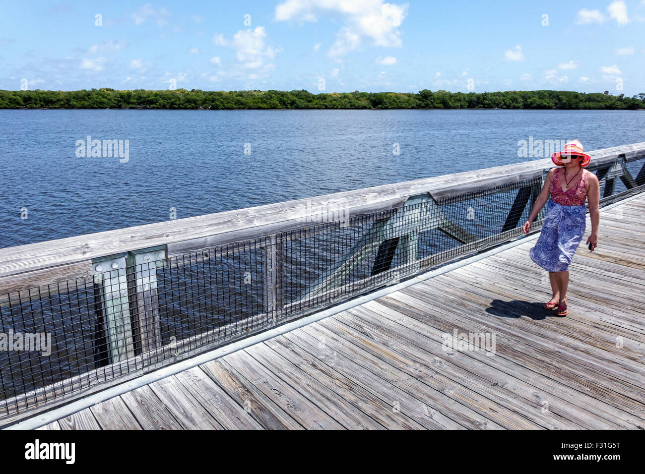 Florida North Palm Beach,John D. MacArthur Beach State Park,raised nature boardwalk,Lake Worth Lagoon,adult adults woman women female lady,walking,vis Stock Photo