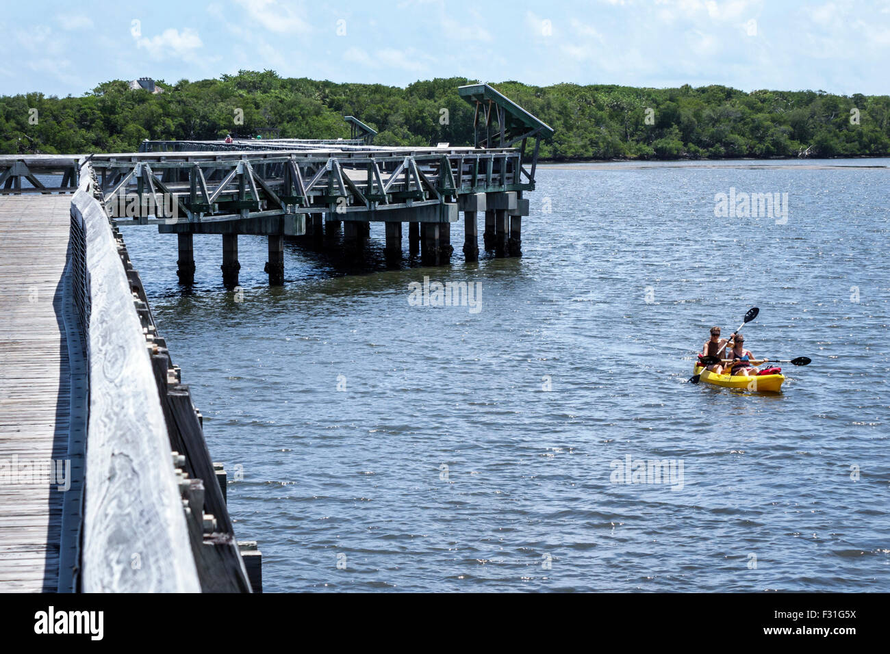 Florida North Palm Beach,John D. MacArthur Beach State Park,Lake Worth Lagoon,raised nature boardwalk,kayak,kayaker,kayaking,paddling,water,adult adul Stock Photo