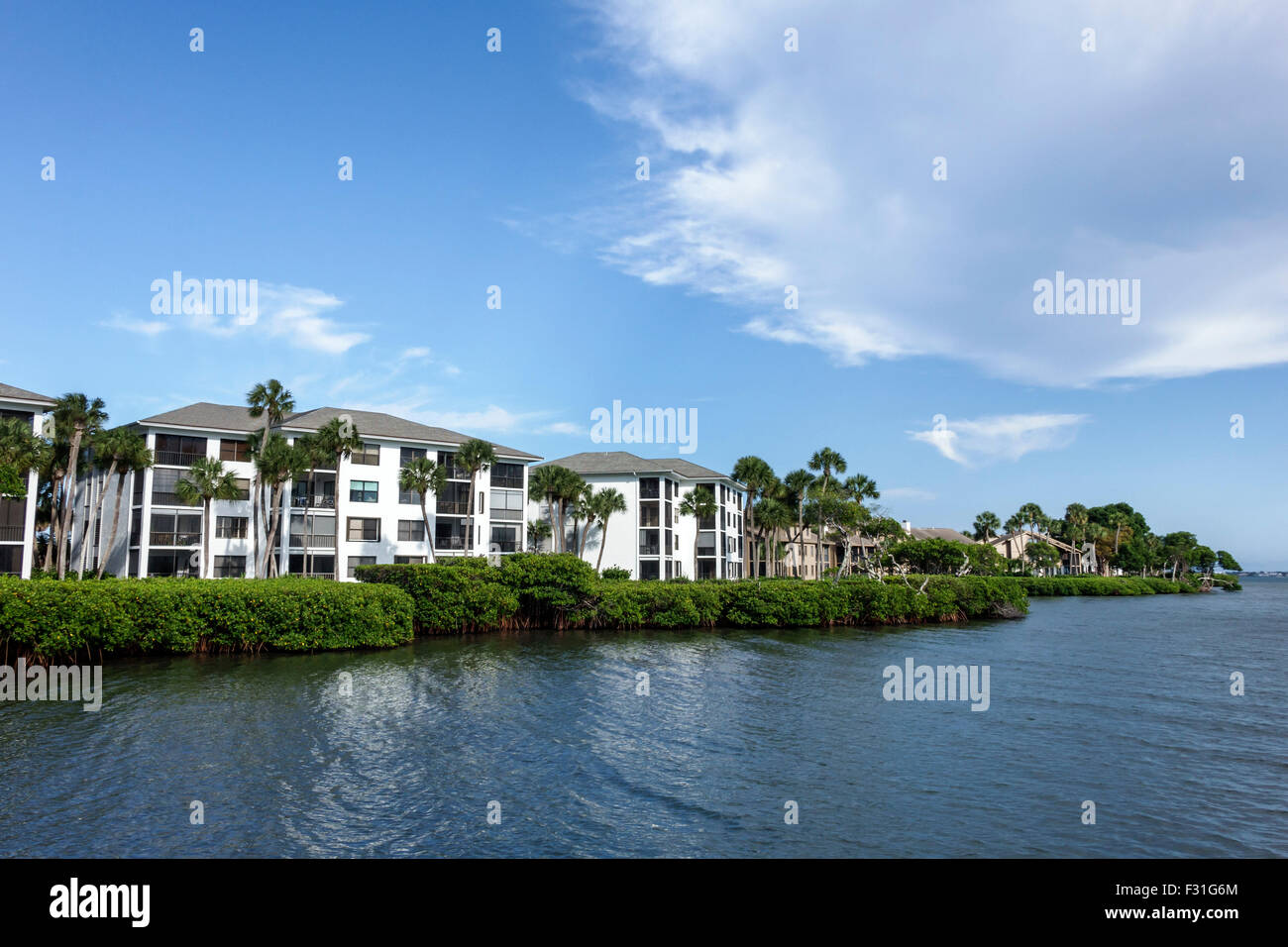 Stuart Florida,Hutchinson Barrier Island Marriott Beach Resort & Marina,hotel,Indian River Lagoon,rental condominiums,red mangrove,Rhizophora mangle,w Stock Photo