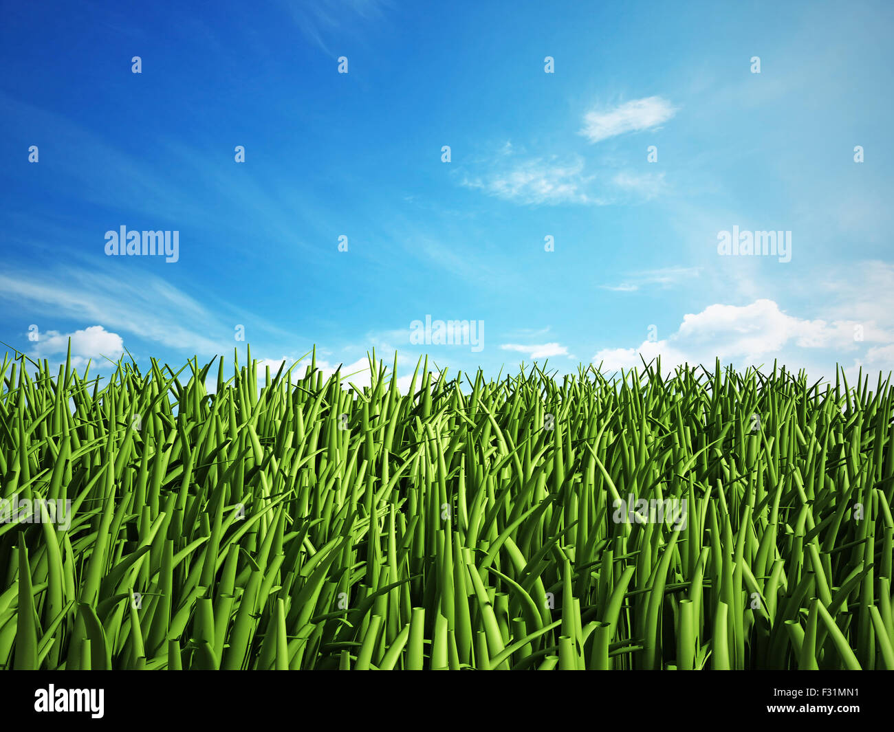 Grass isolated on white background Stock Photo - Alamy