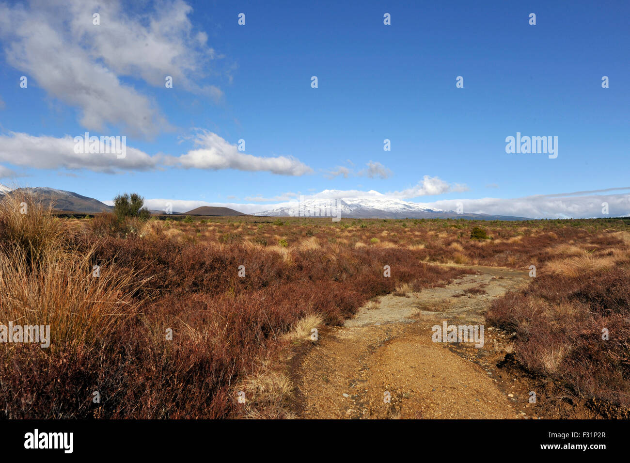 New Zealand travel with Mount Ruapehu in the distance Stock Photo