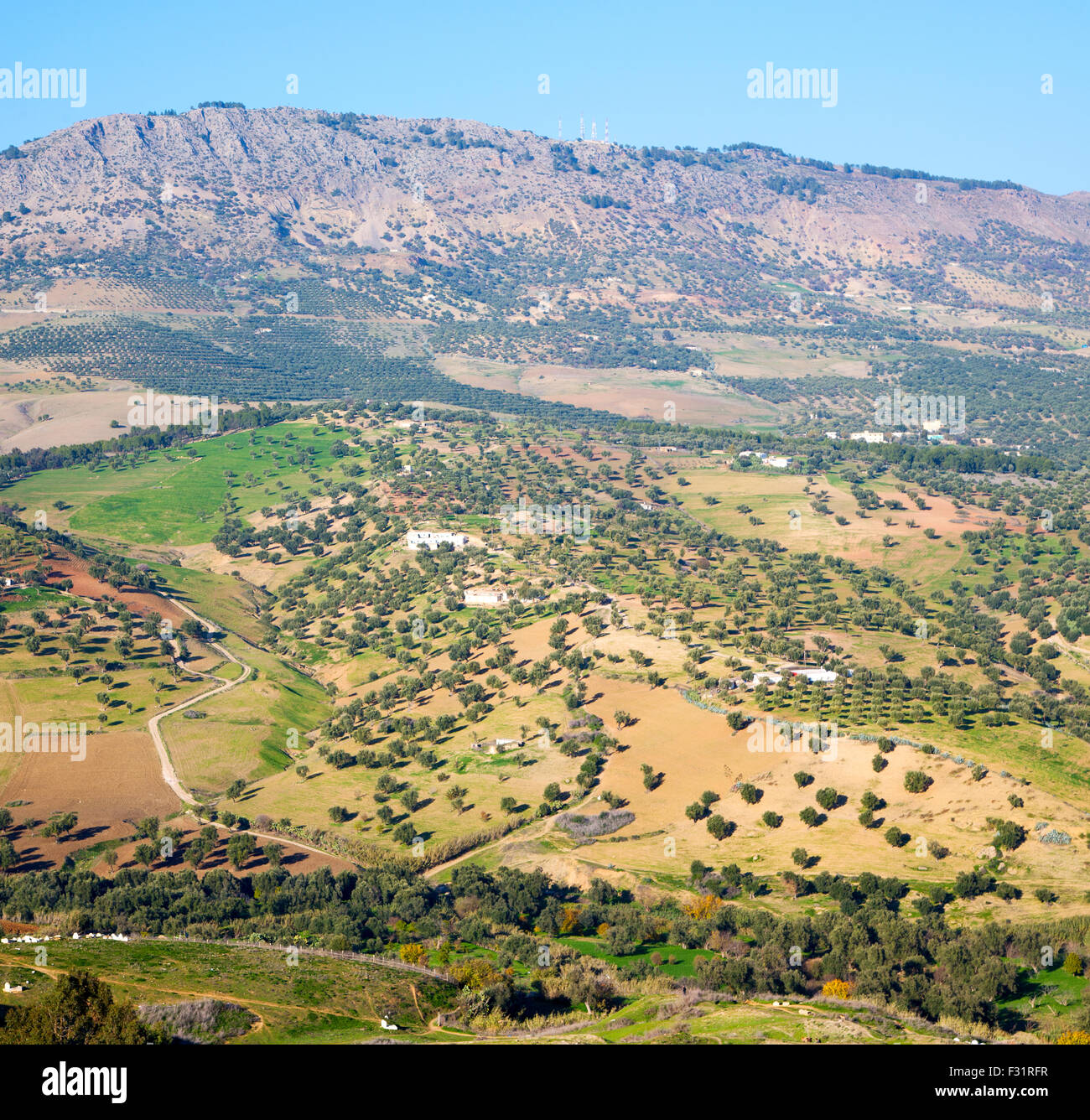 from high in the village morocco africa field and constructions Stock ...