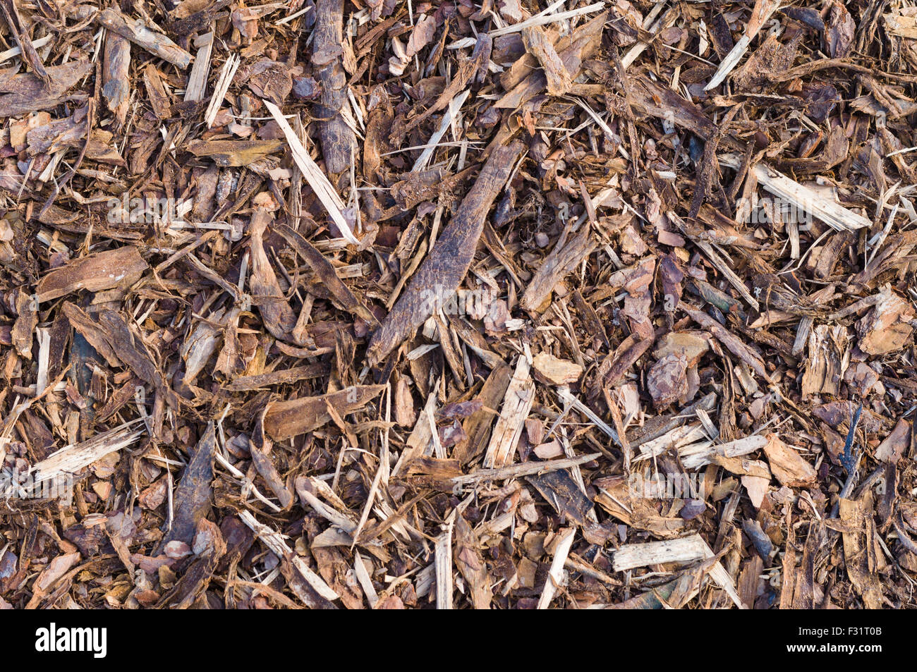 Pine tree bark chip background texture Stock Photo
