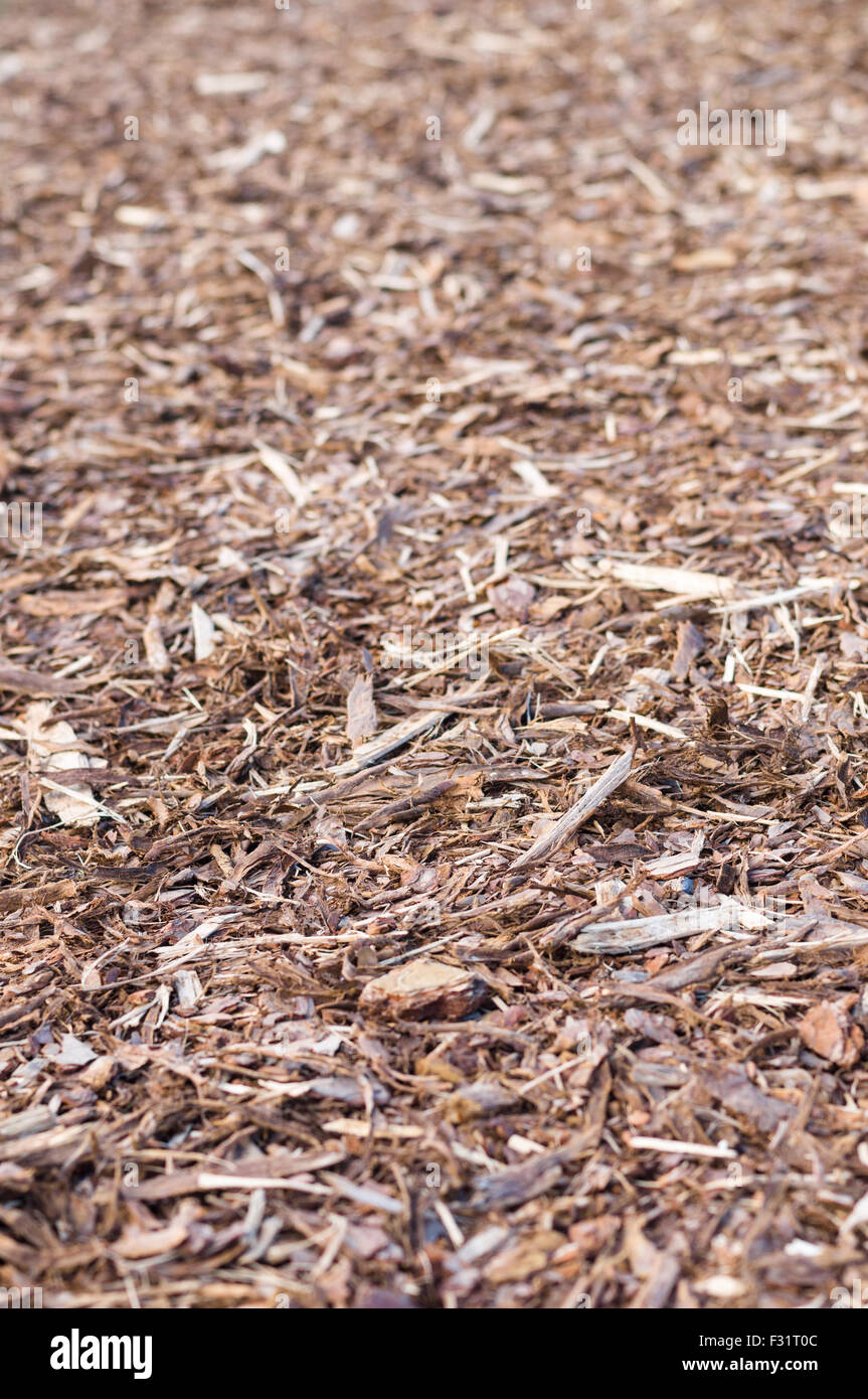 Natural pine tree bark used as a soil covering for mulch Stock Photo