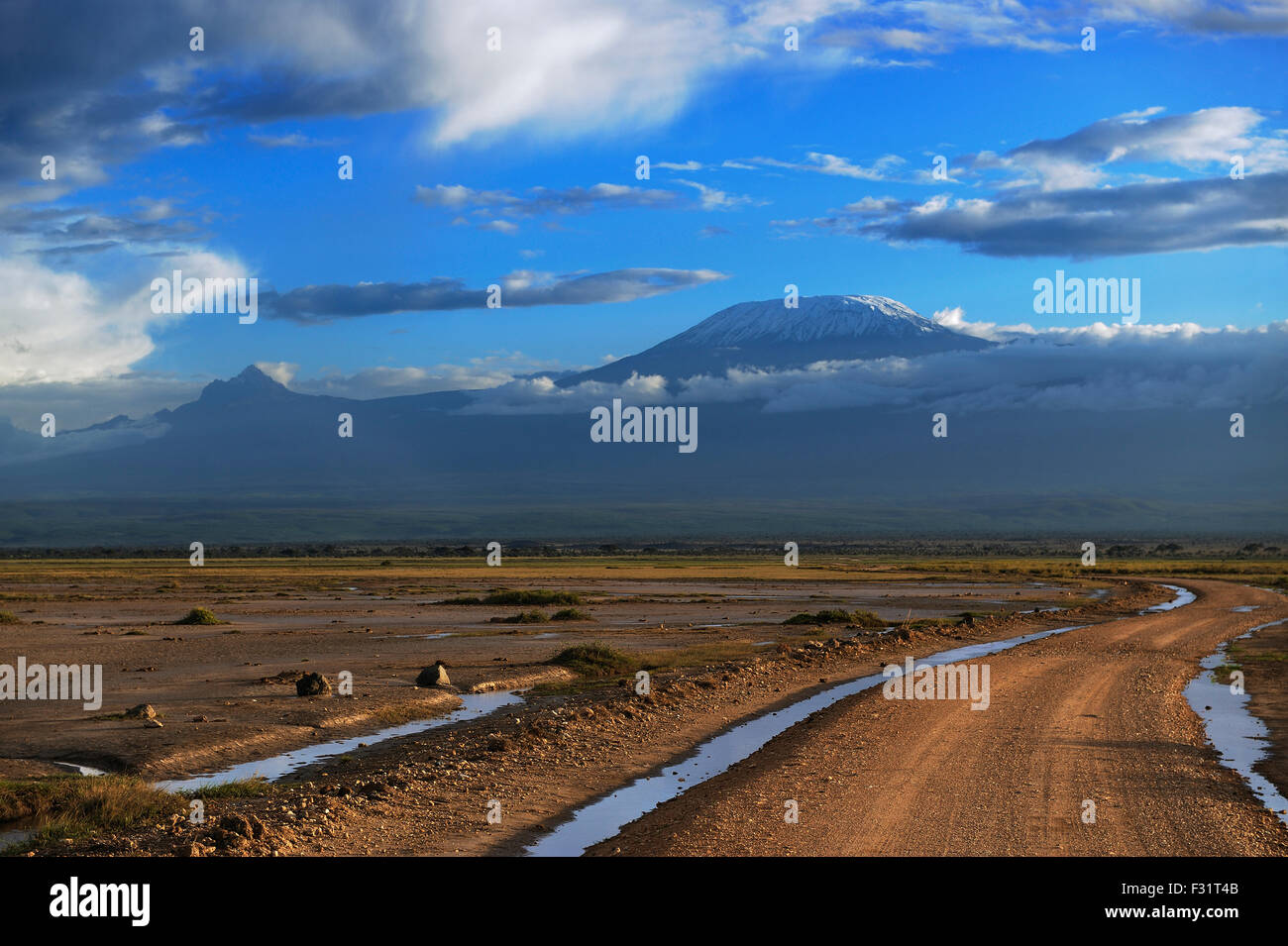 Vast landscape with a road, Mount Kilimanjaro in the morning light behind, Amboseli, Kenya Stock Photo