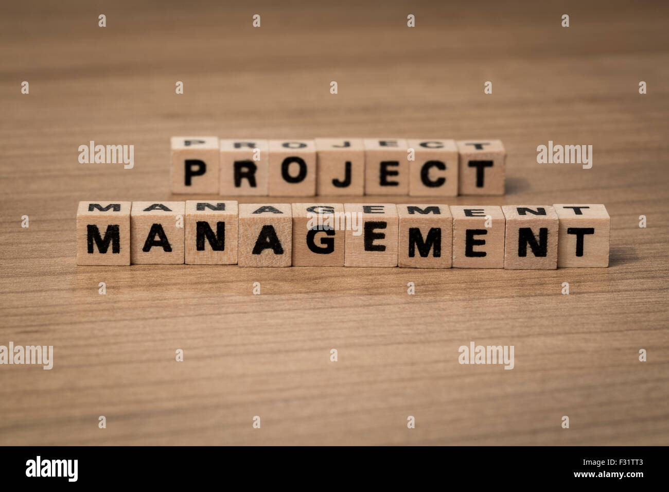 project management written in wooden cubes on a desk Stock Photo