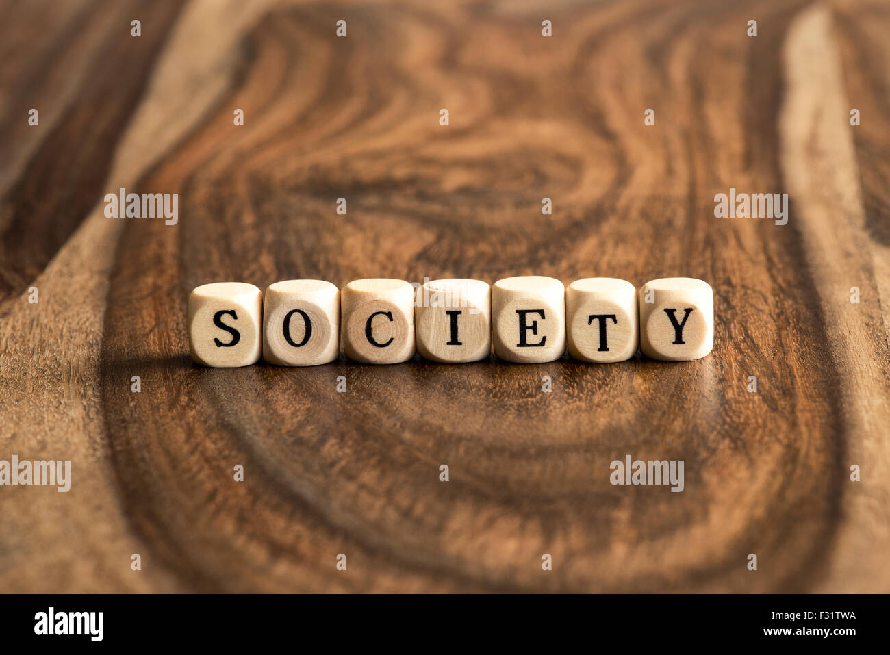 SOCIETY word background on wood blocks Stock Photo