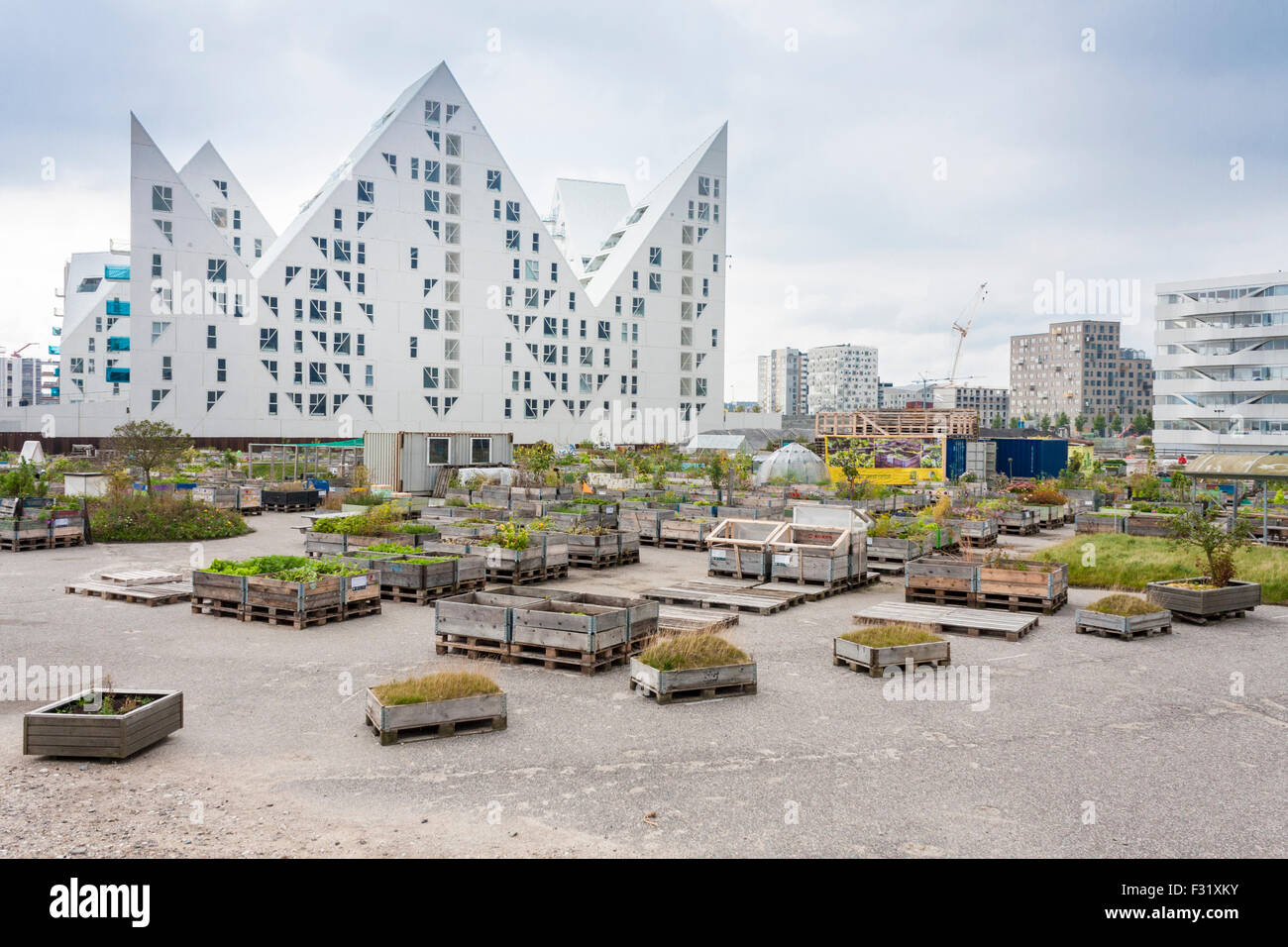 Modern apartments in Aarhus, Jutland, Denmark, Europe. Stock Photo