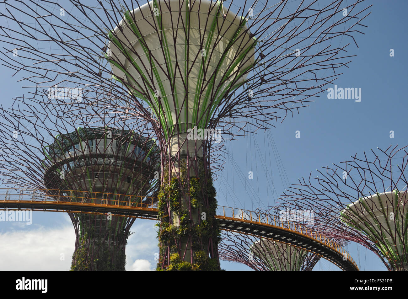 Top of the artificial tree at Garden By The Bay Park, Singapore Stock