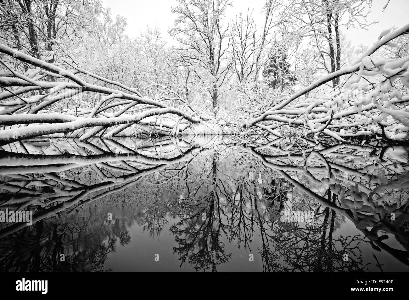 Beautiful winter day Stock Photo