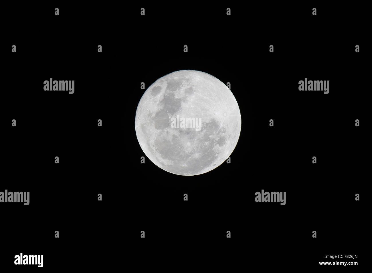 Sydney Australia 28 September 2015 The Blood Moon Could Not Be