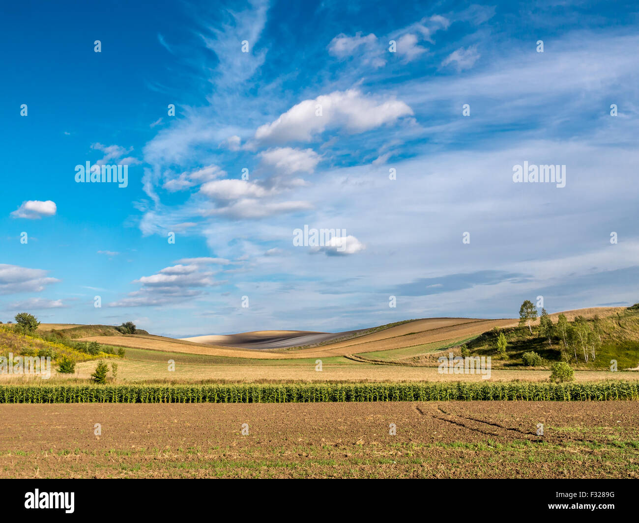 Countryside landscape with arable fields Stock Photo