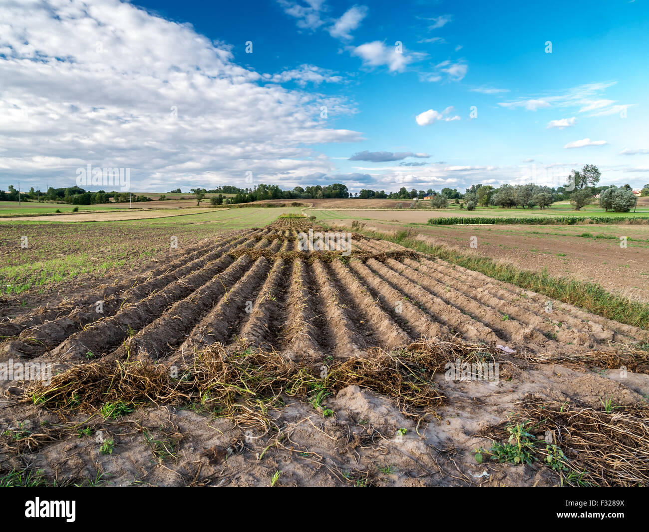Countryside landscape with arable field Stock Photo