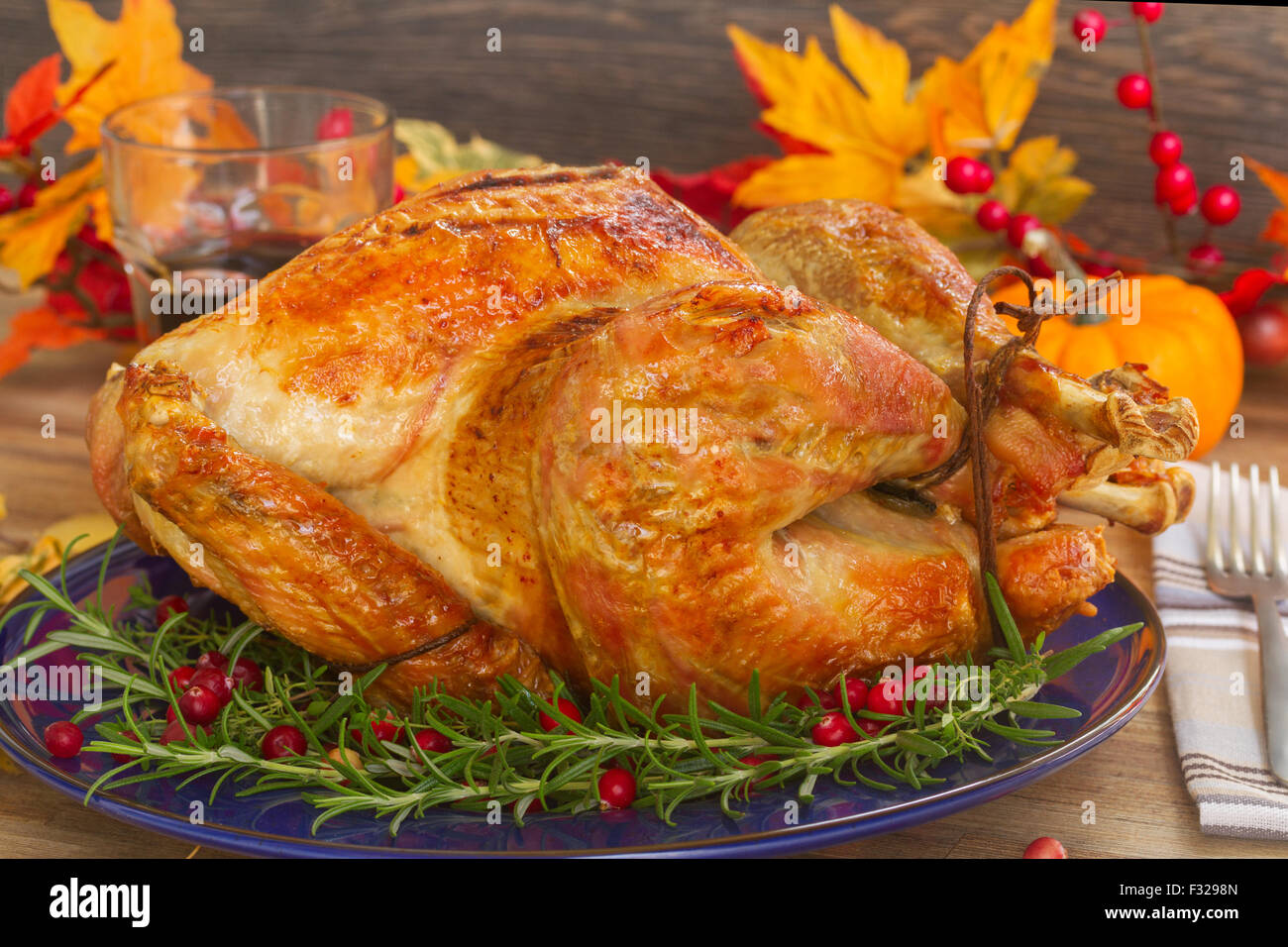 Thnaksgiving turkey Stock Photo