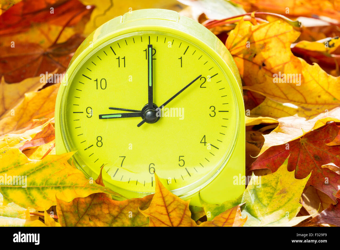Alarm clock on autumn leaves. Time change concept. In autumn we change clock one hour back. Stock Photo
