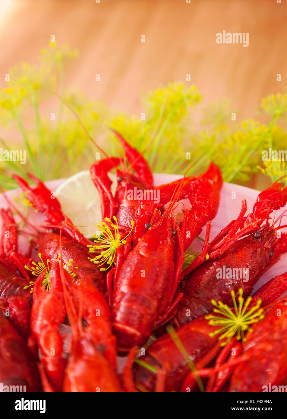Image of freshly cooked crayfish. Stock Photo
