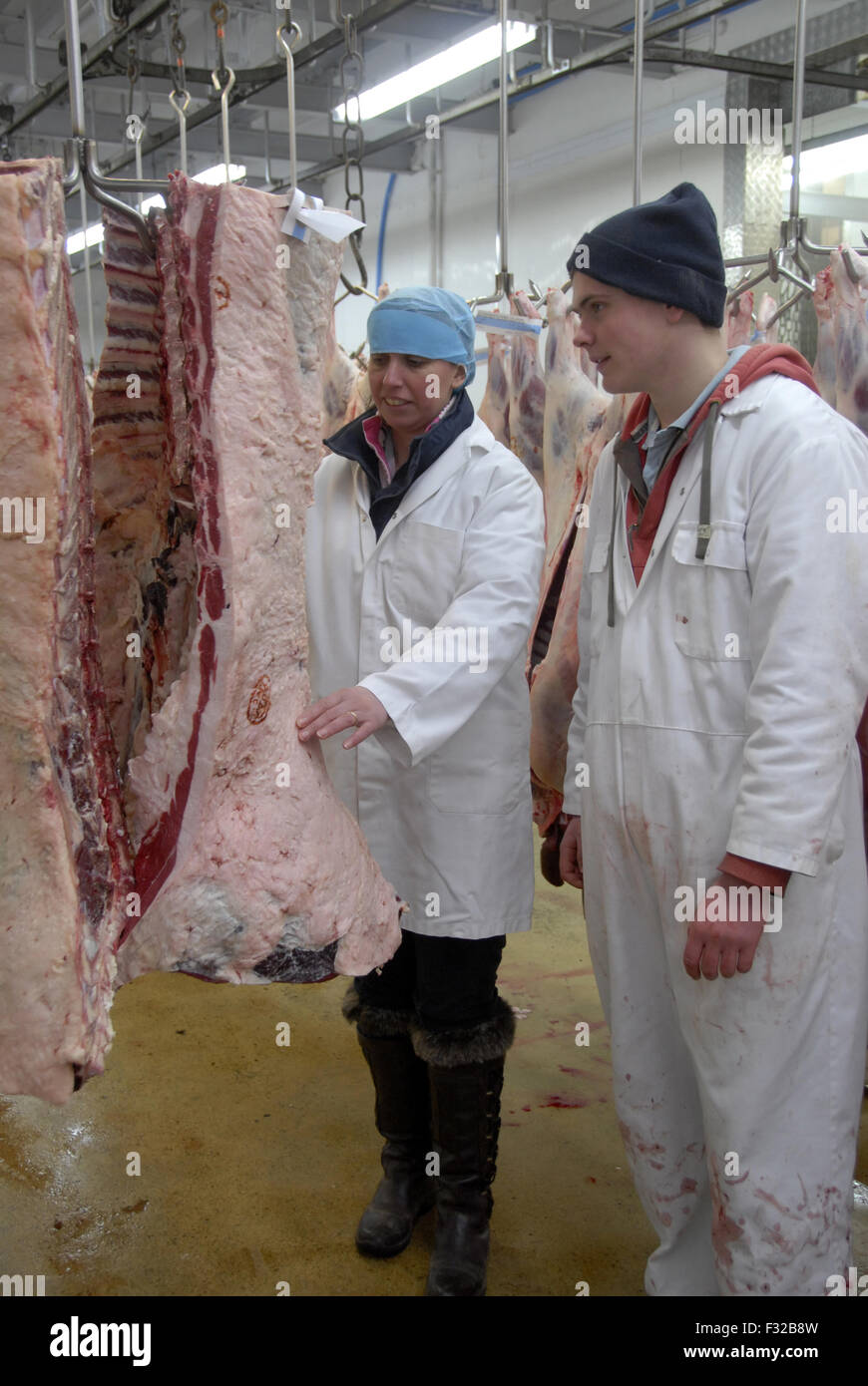Workers sorting out lamb carcasses in small farm based abattoir, Heathfield, East Sussex, England, January Stock Photo
