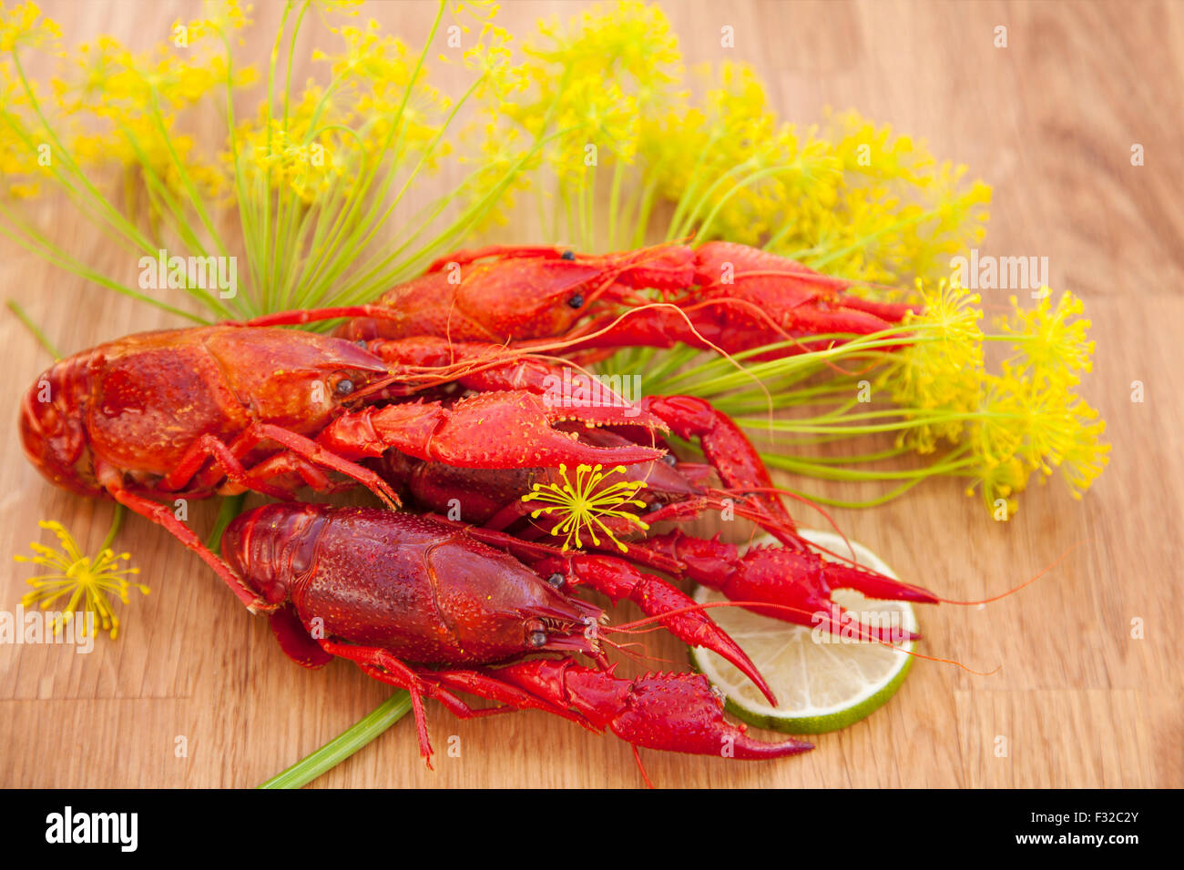 Image of fresh red crayfish. Stock Photo