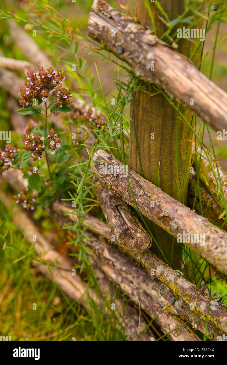 Traditional fencing hi-res stock photography and images - Alamy