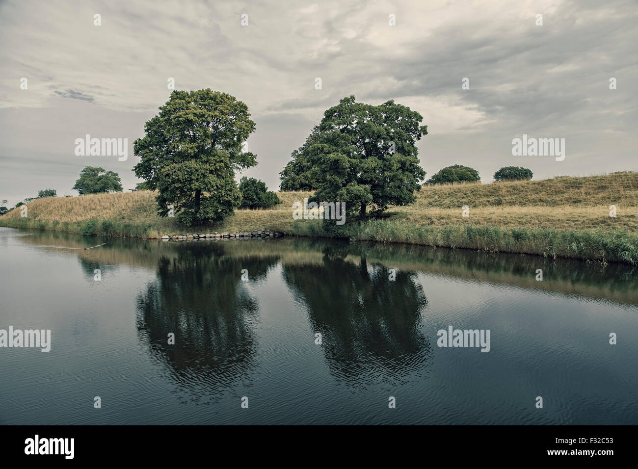 Trees reflecting in water hi-res stock photography and images - Alamy