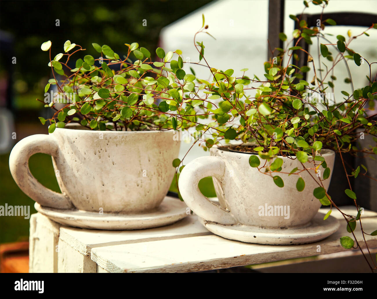 Concrete Pot Stock Photos Concrete Pot Stock Images Alamy