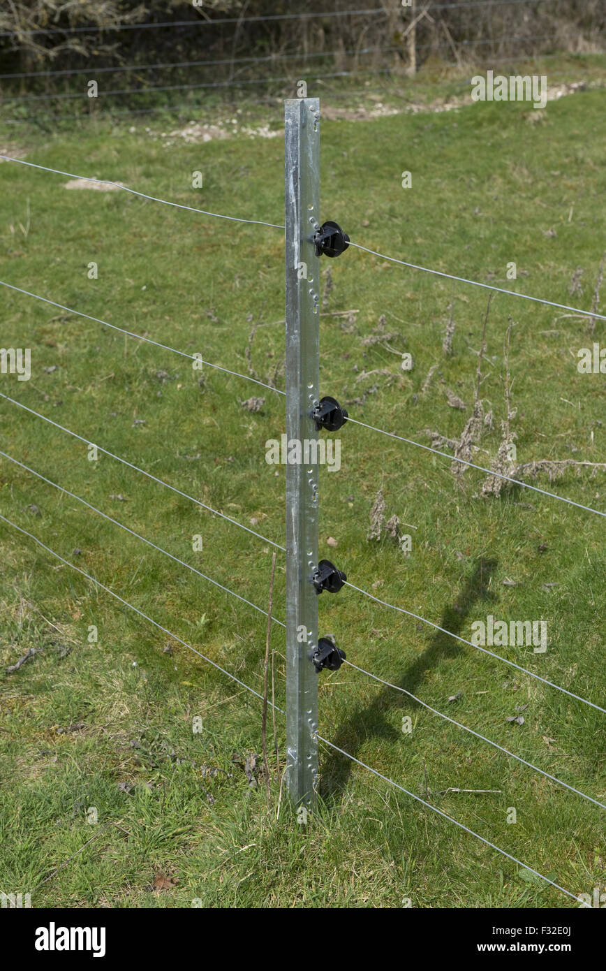 New electric fence with galvanised steep posts and insulators in