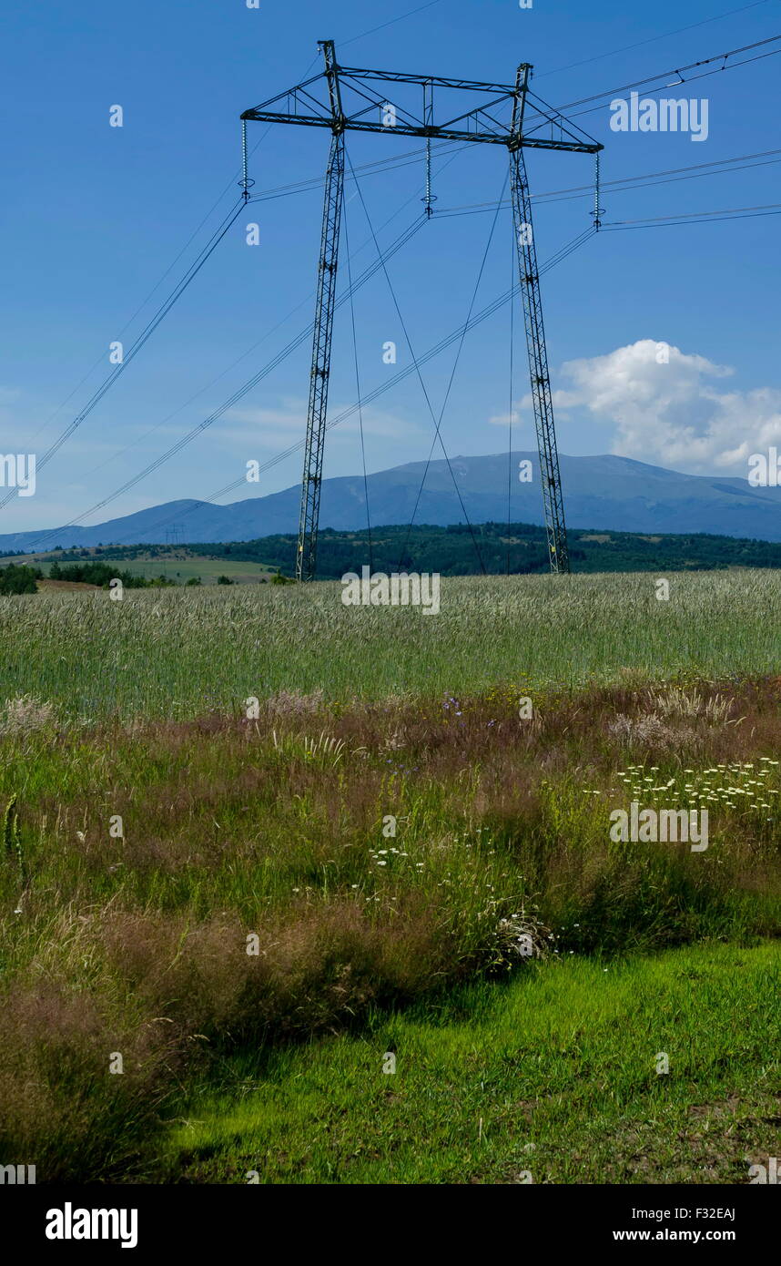 Electric power transmission line, Plana mountain, Bulgaria Stock Photo